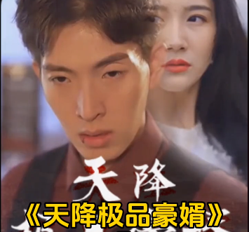 天降极品豪婿第101集