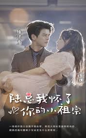 陆总，我怀了你的小祖宗第02集