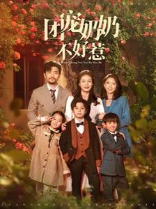 团宠奶奶不好惹第1-20集