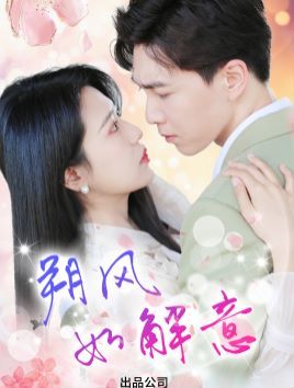 朔风有解意第21-40集