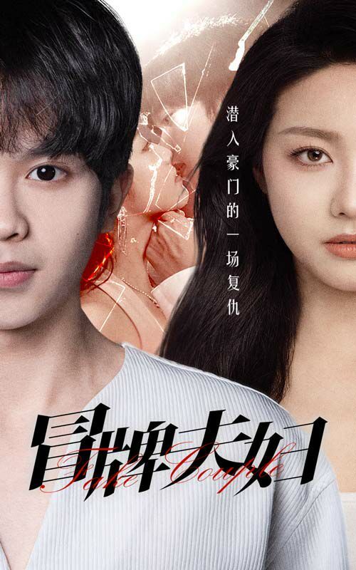 冒牌夫妇第21-40集