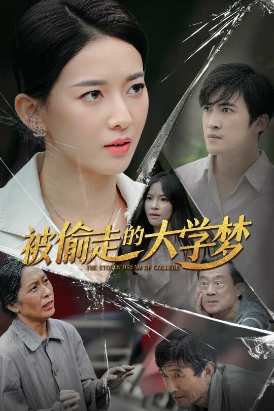 被偷走的大学梦第1-20集