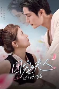 团宠夫人凶凶哒第101集