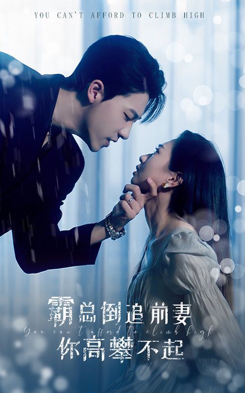 霸总倒追前妻你高攀不起第21-40集