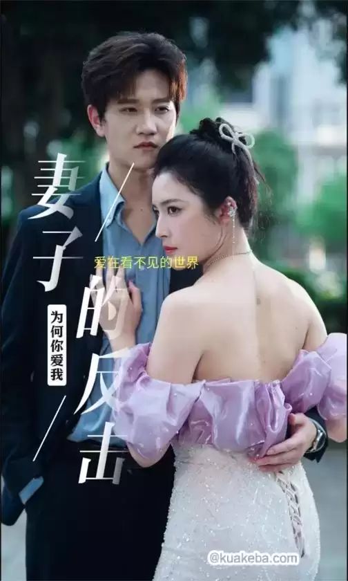 妻子的反击第1-20集