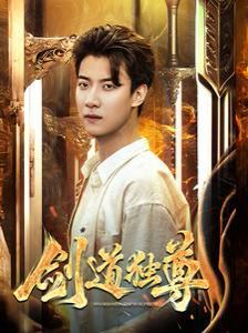 新剑道独尊第1-20集