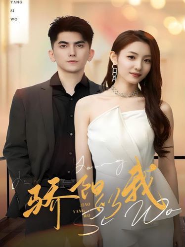 骄阳似我第21-40集