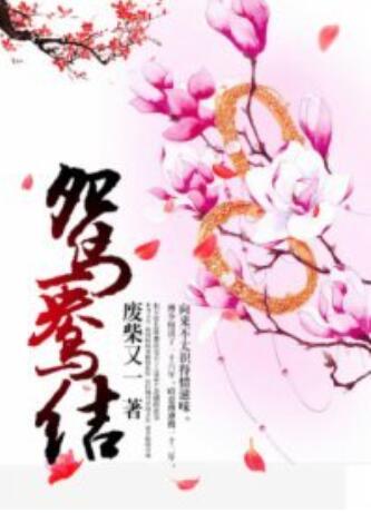 鸳鸯结第01集