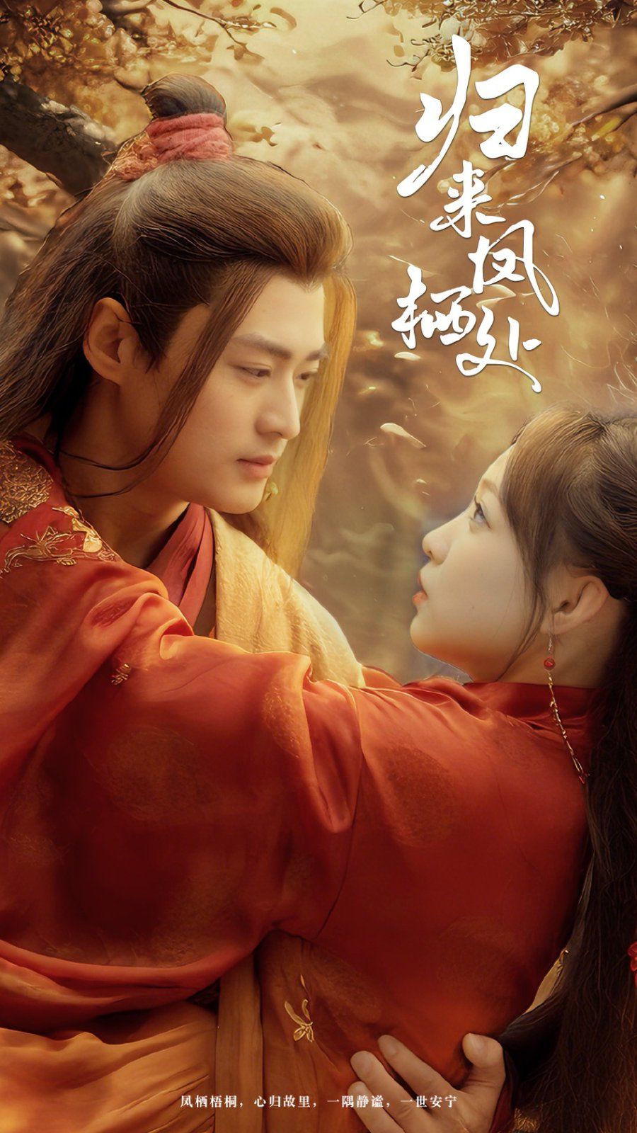 归来凤栖处第1集