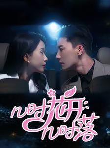 几时花开几时落第41-60集