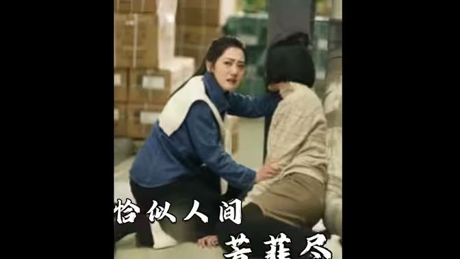 恰似人间芳菲尽第1-30集