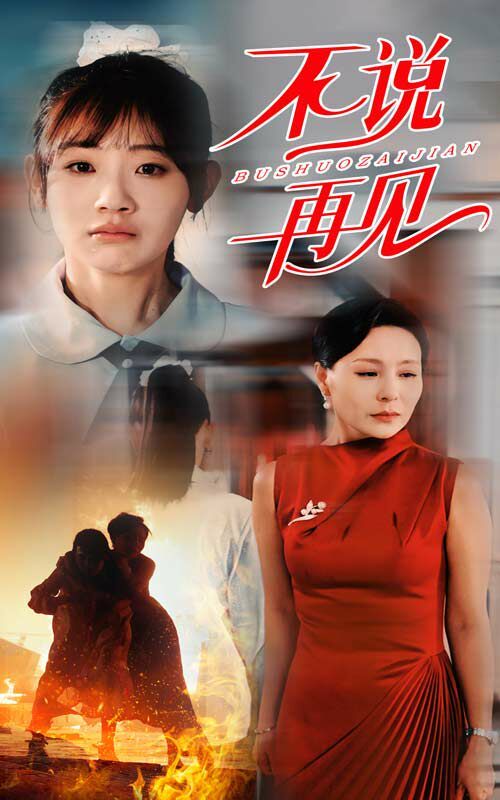 不说再见全集完结(大结局)