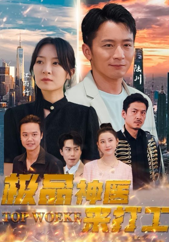 极品神医来打工第51集