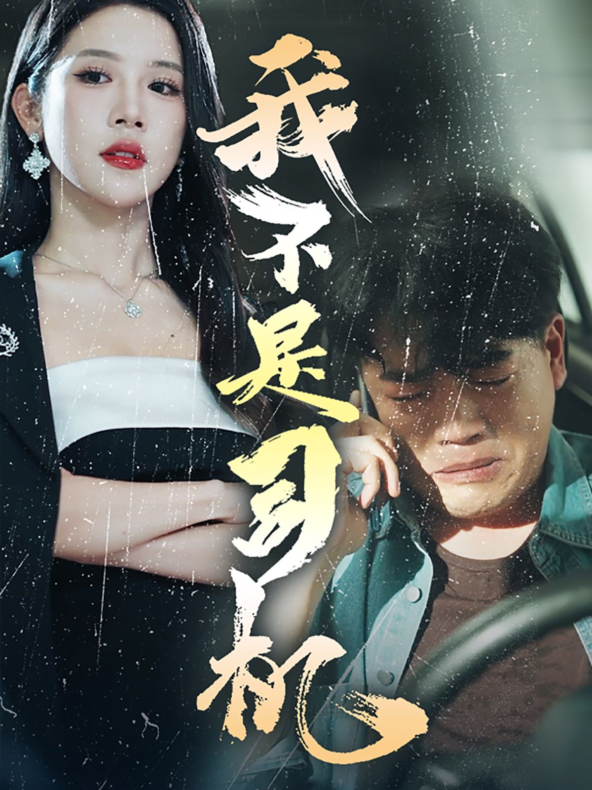 我不是司机第02集