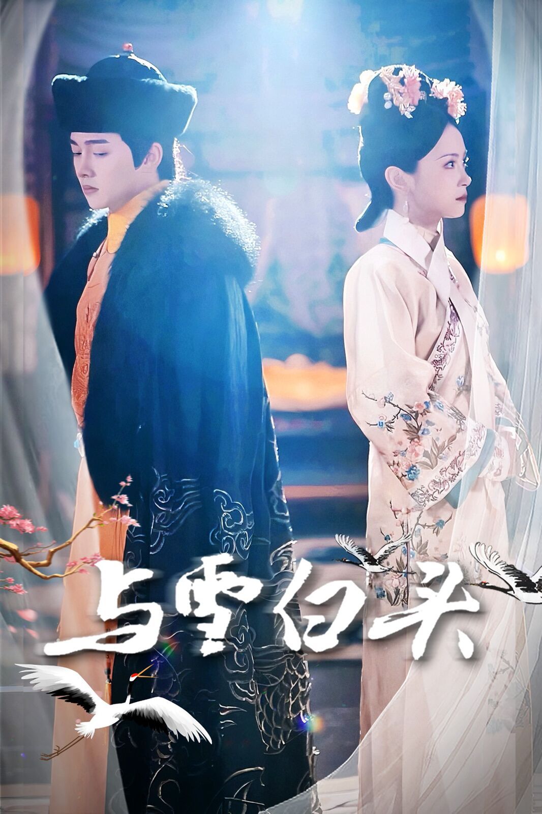 与雪白头第21-40集