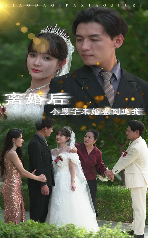 离婚后，小舅子未婚妻倒追我第21-30集完结(大结局)