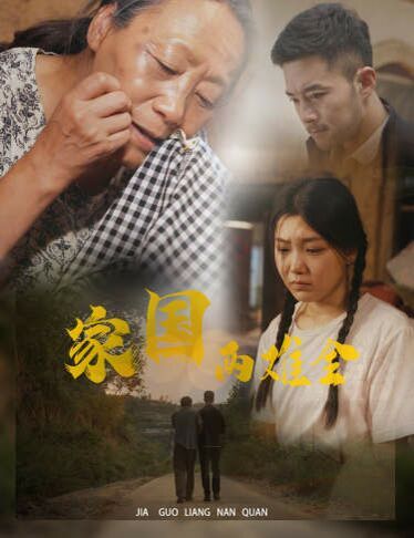 家国两难全（自古忠孝两难全）第21-40集