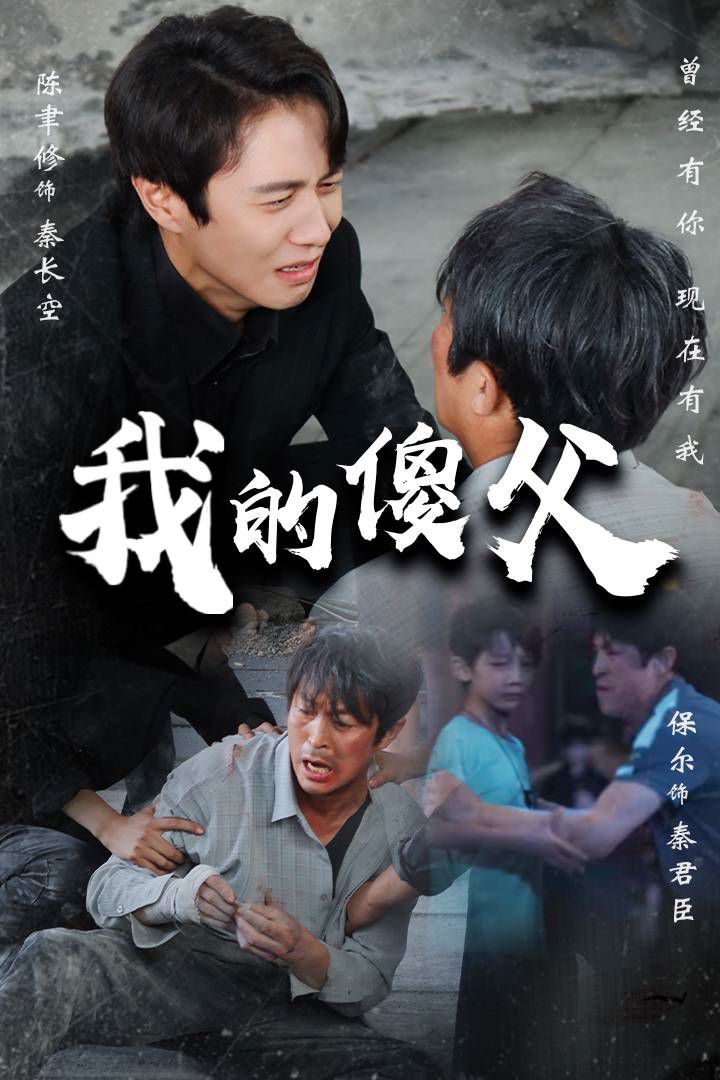 我的傻父第21-40集