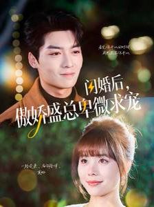 闪婚后傲娇盛总卑微求宠第21-40集