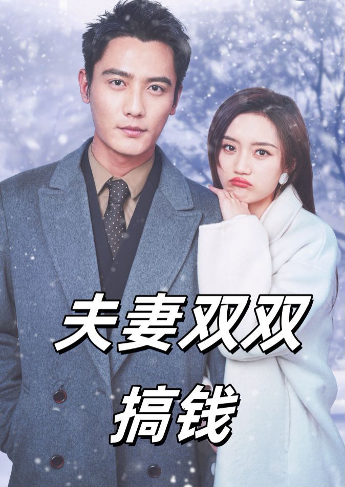 夫妻双双搞钱第1-20集