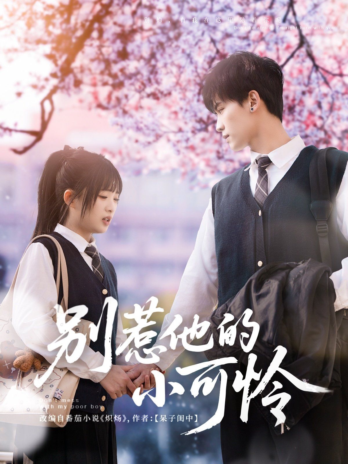 别惹他的小可怜第31-60集