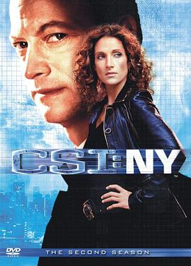 犯罪现场调查：纽约第二季(全集)