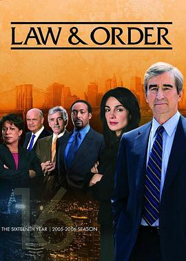 法律与秩序 第十六季第16集
