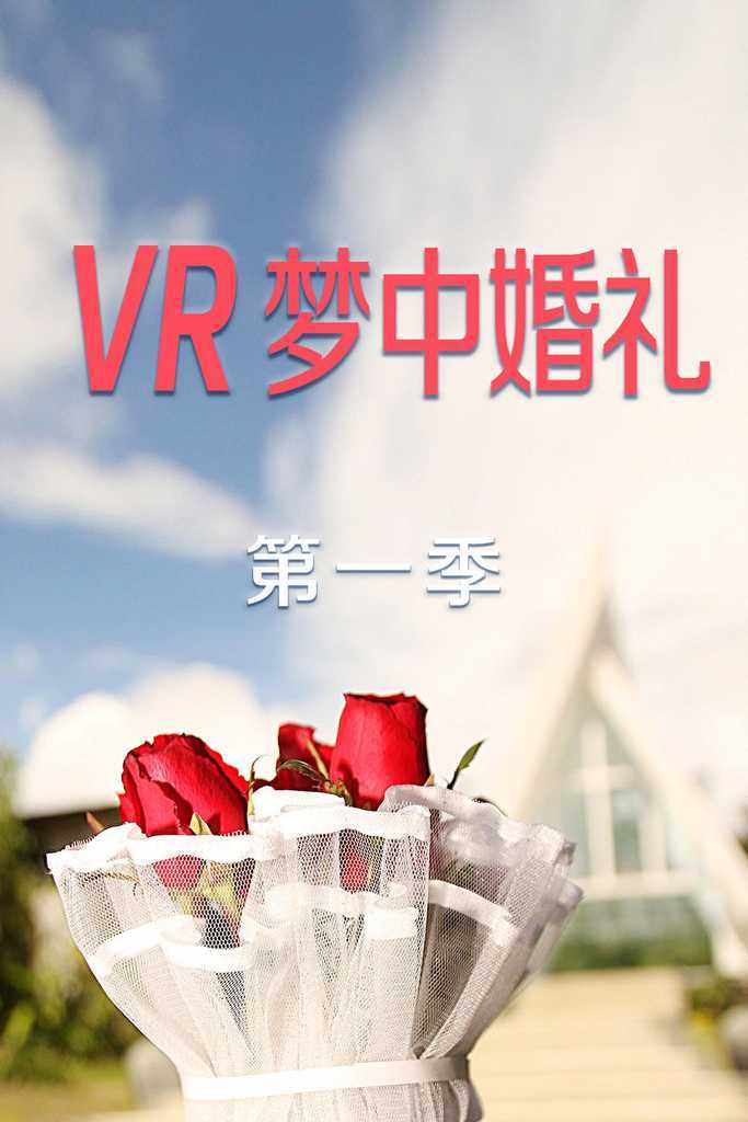 VR梦中婚礼 第一季第01期
