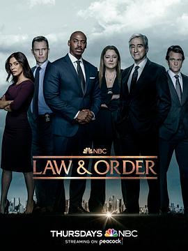 法律与秩序 第二十二季第13集