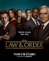 法律与秩序 第二十三季第03集