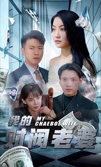 我的财阀老婆第1-20集